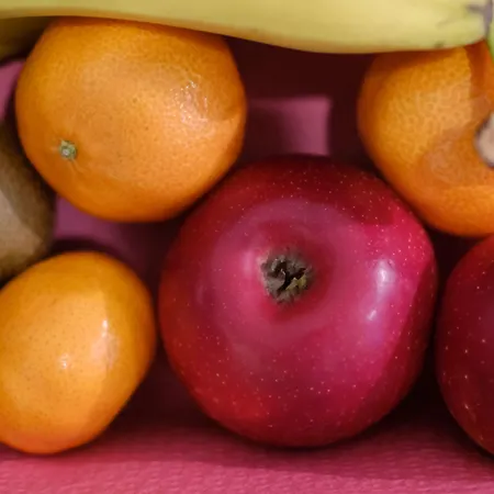 艾米丽酒店 酒店