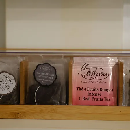 酒店 艾米丽酒店 巴黎