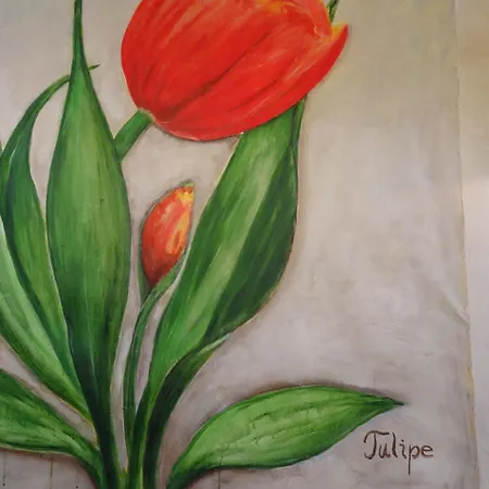 酒店 艾米丽酒店 2*